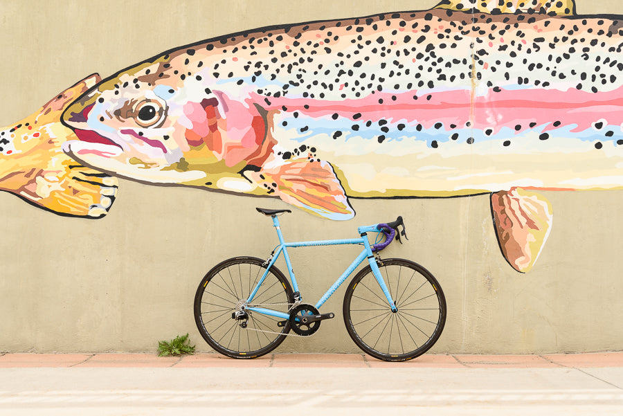 Speedvagen Road Bike Review | The Pro's Closet