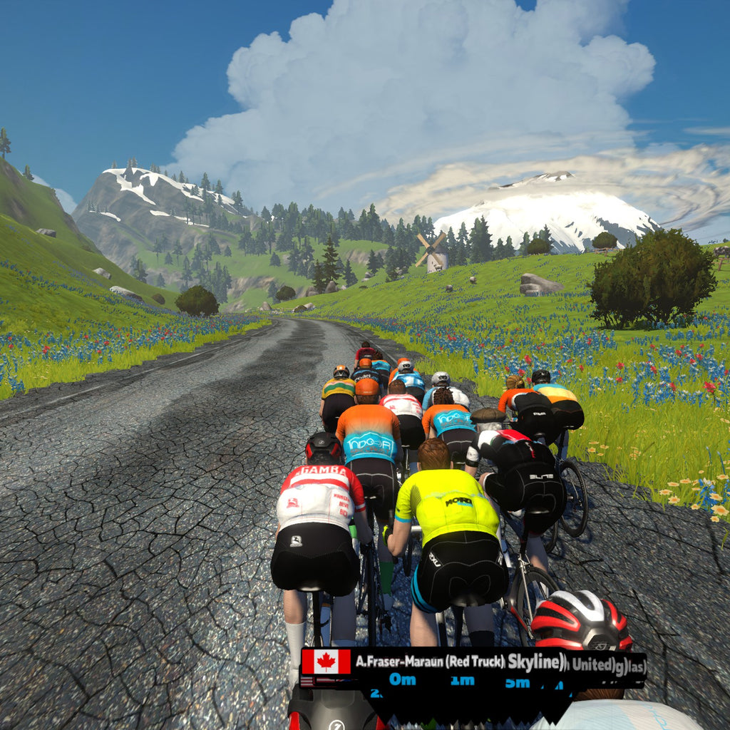 Pro Cycling Manager 2021 Trainer