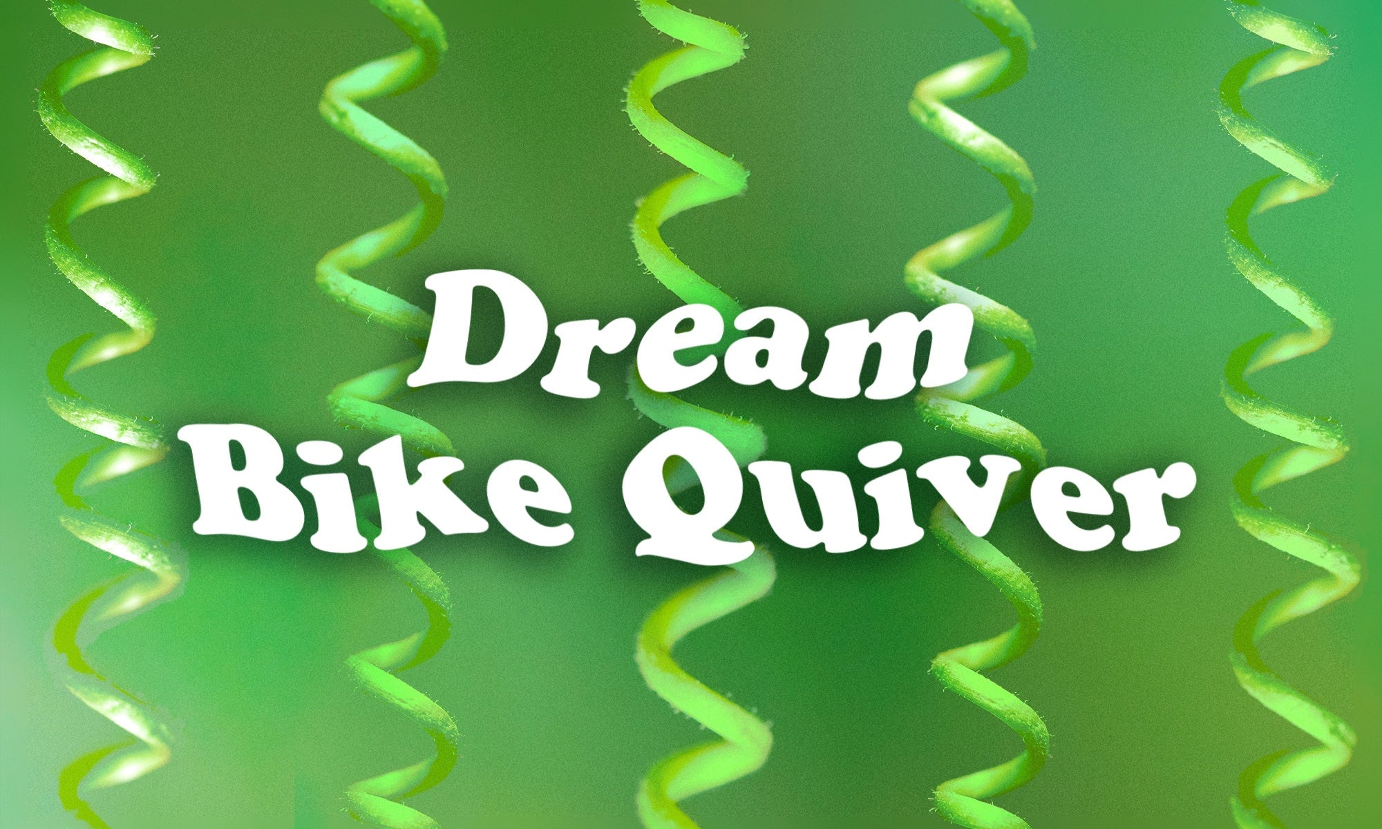Dream Bike Quiver: Springy Bikes