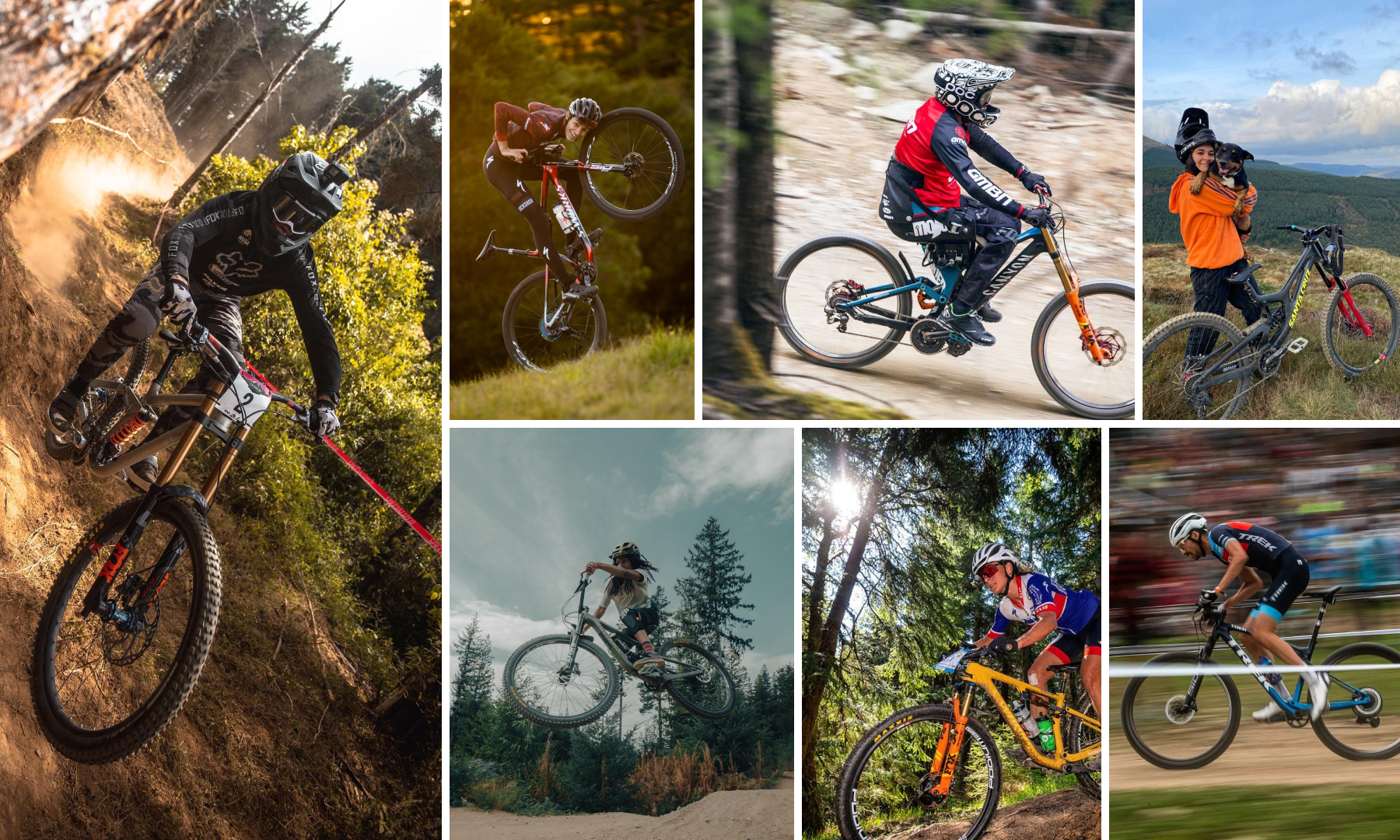 Professional mountain bikers on sale