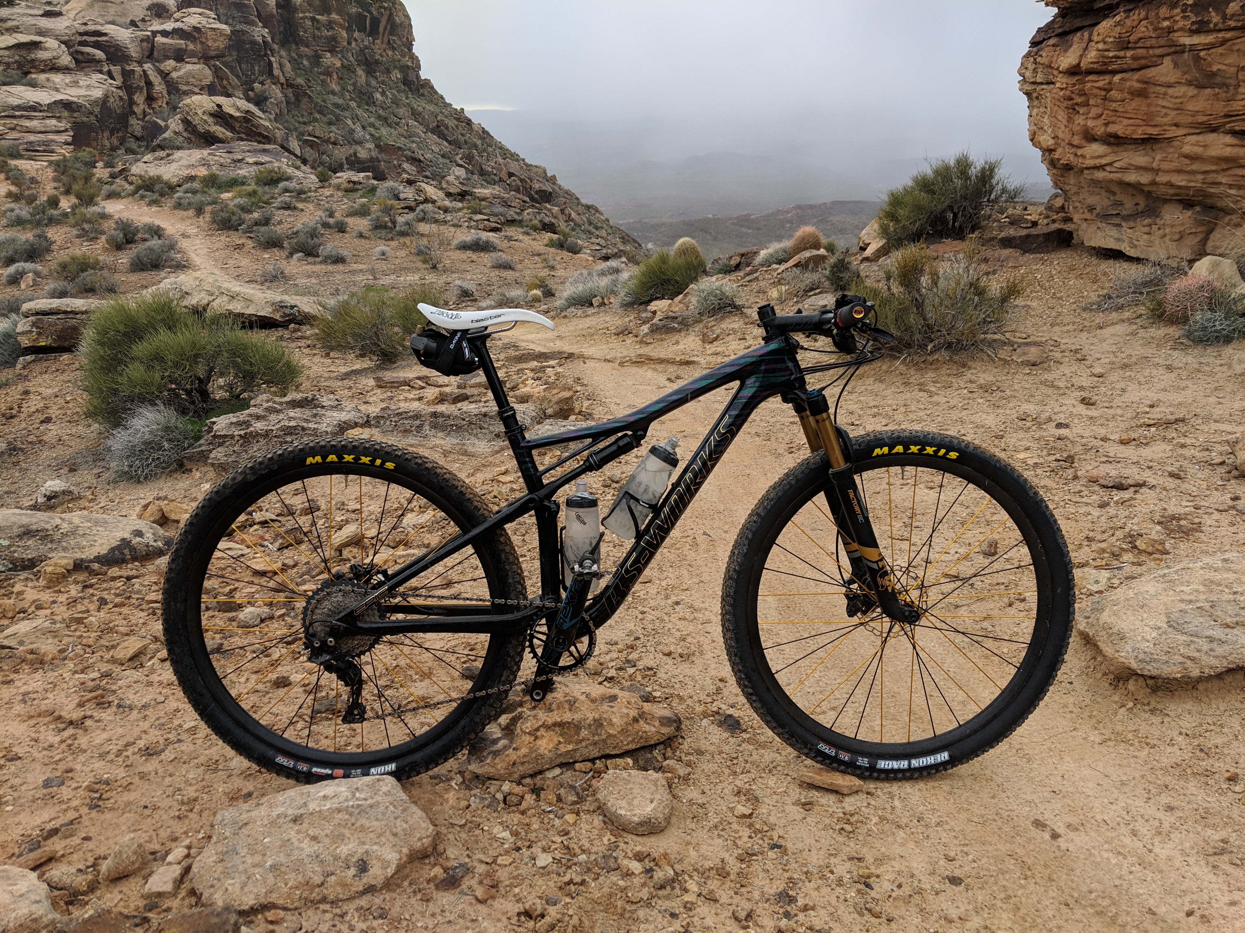 Pete1.jpg?v=1584400157&width=300