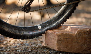 MTB Tire Inserts: Why You Might Want Them & The Best Inserts