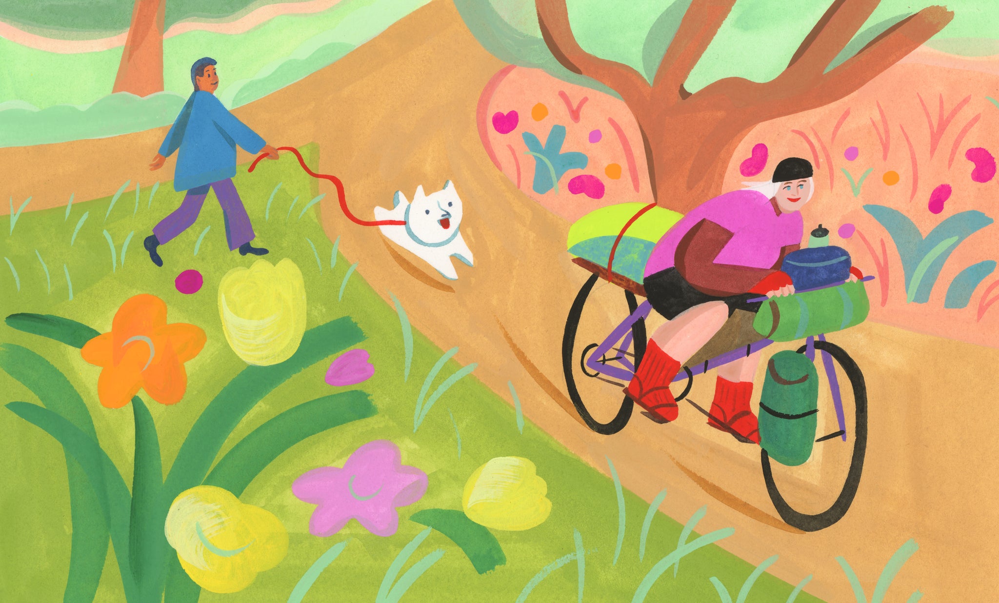 Beginner's guide to bikepacking