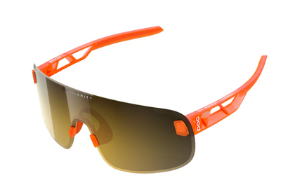 Sunglasses & Goggles
 subcategory