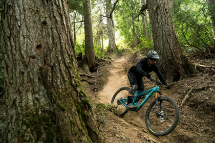 Yeti SB135
 subcategory