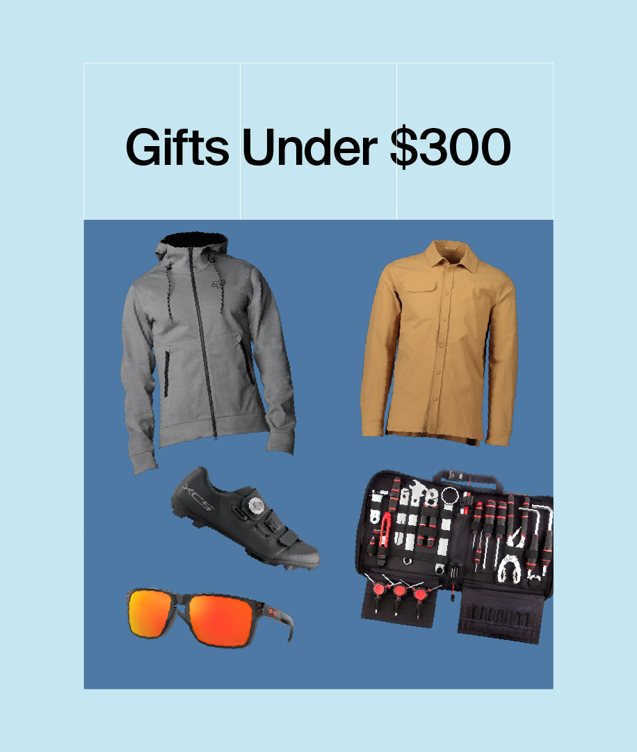 Holiday Gift Guide Commuters The Pro's Closet