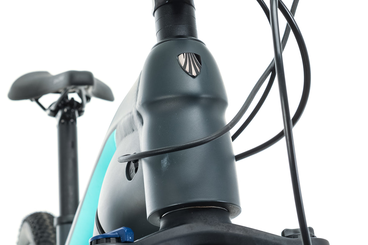 Trek Powerfly 4 Gen 3 Mountain E-Bike - 2021, Large | The Pro's Closet ...