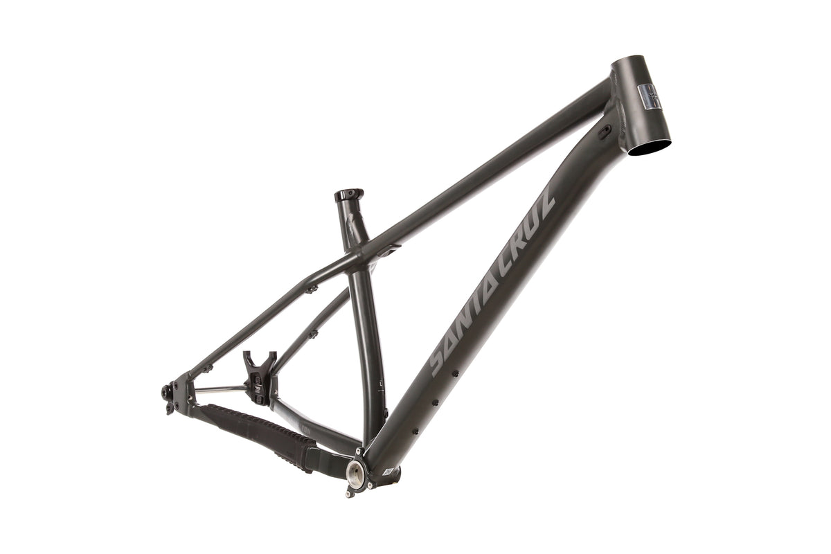 Santa Cruz Chameleon Large Frame - 2024 | The Pro's Closet | FMT12177