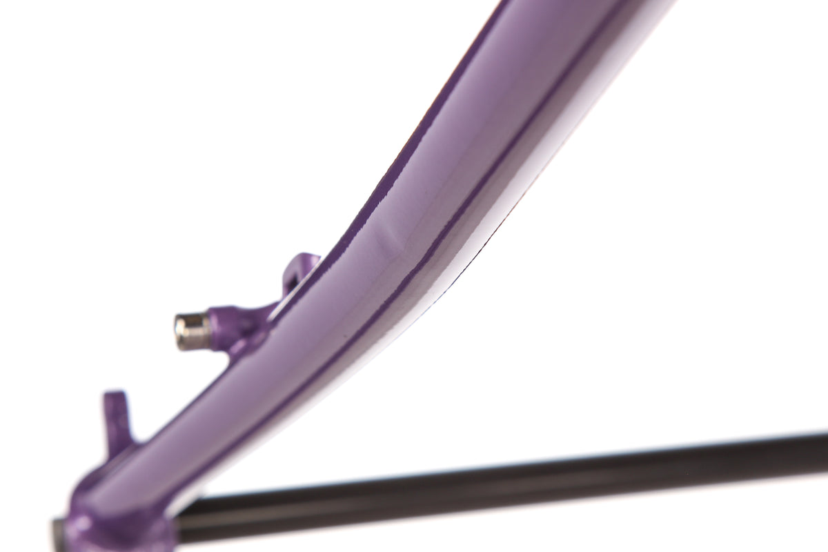 Surly Ice Cream Truck Medium Frameset - 2025 | The Pro's Closet