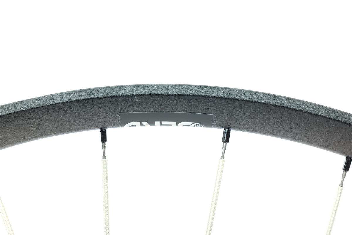 DT Swiss XM 481 Rims w/ Berd Spokes Aluminum Tubeless 29