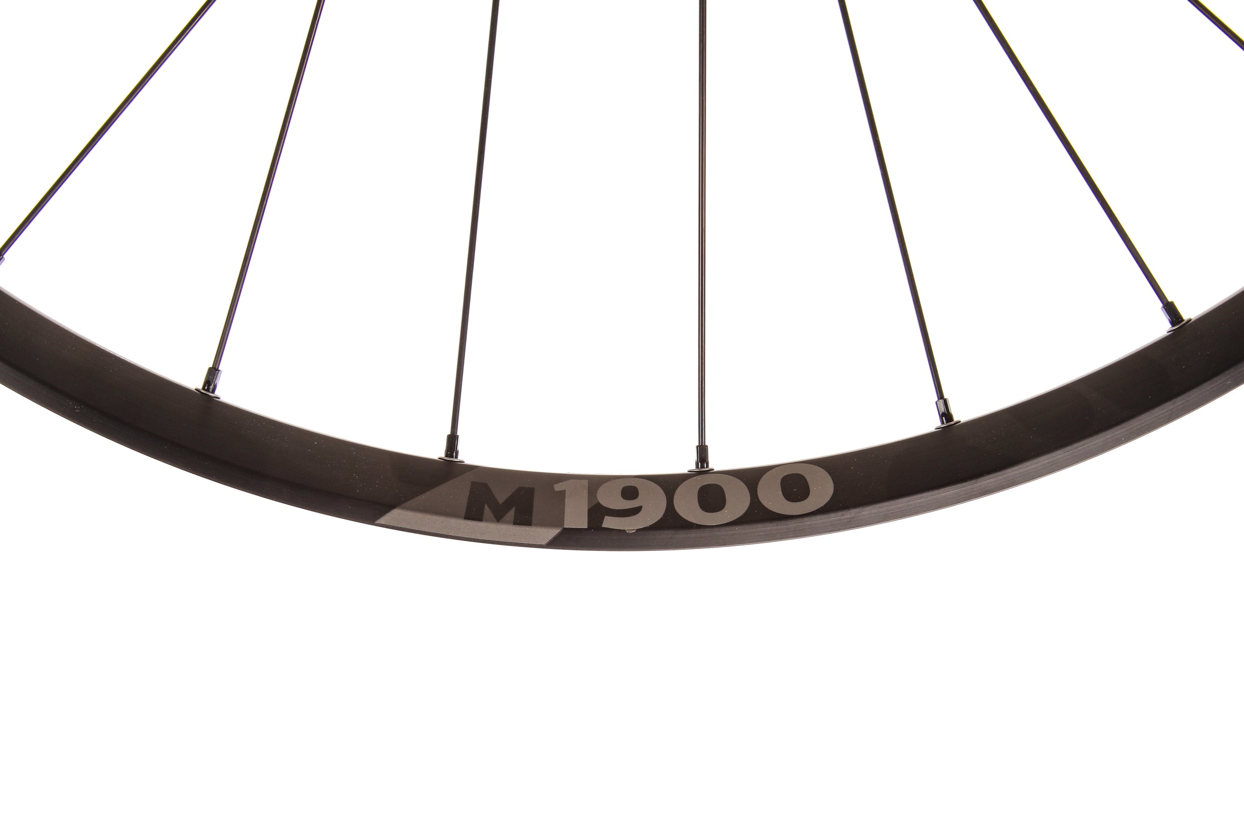 DT Swiss M1900 Spline Aluminum Tubeless 29