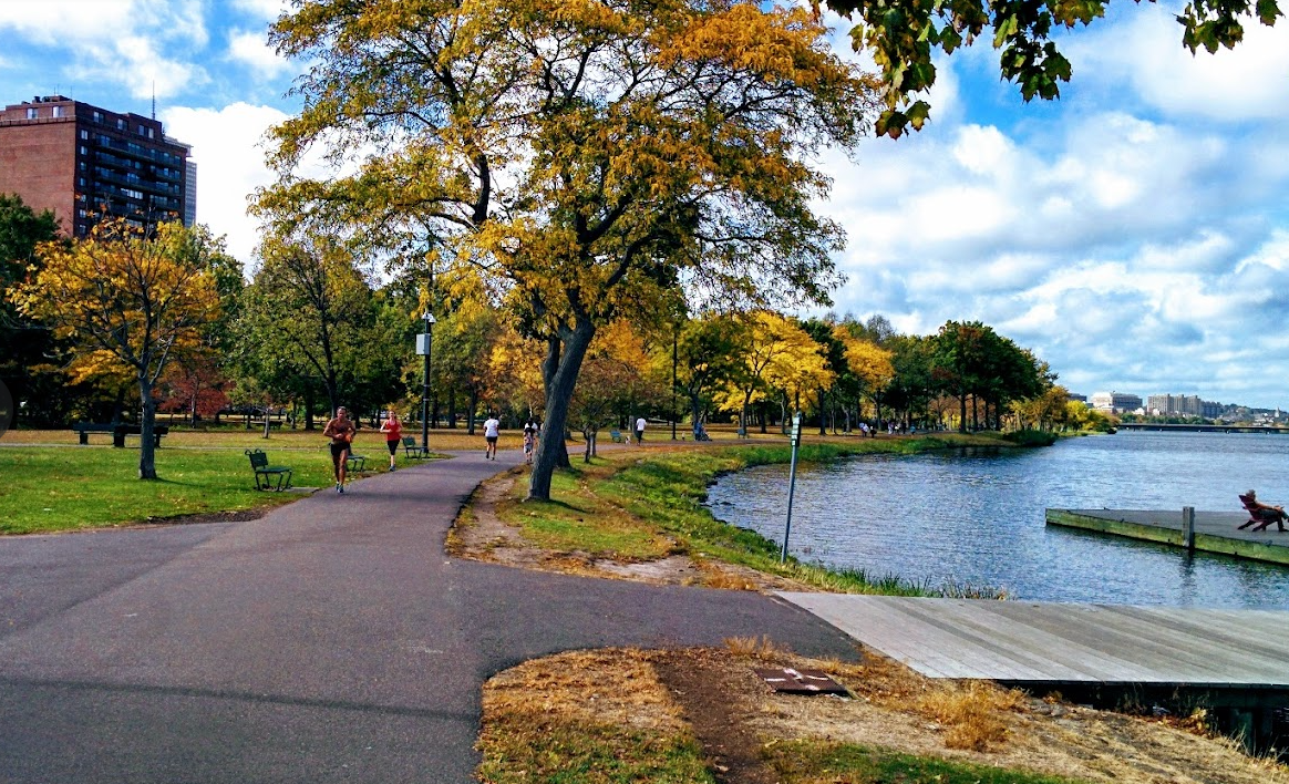 Top 5 Best Bike Shops in Boston, MA, 2024 Find Local Trails, Events