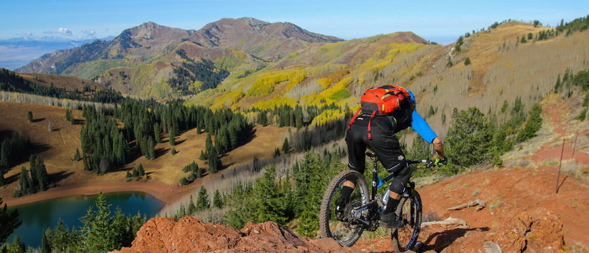 wasatch crest trail