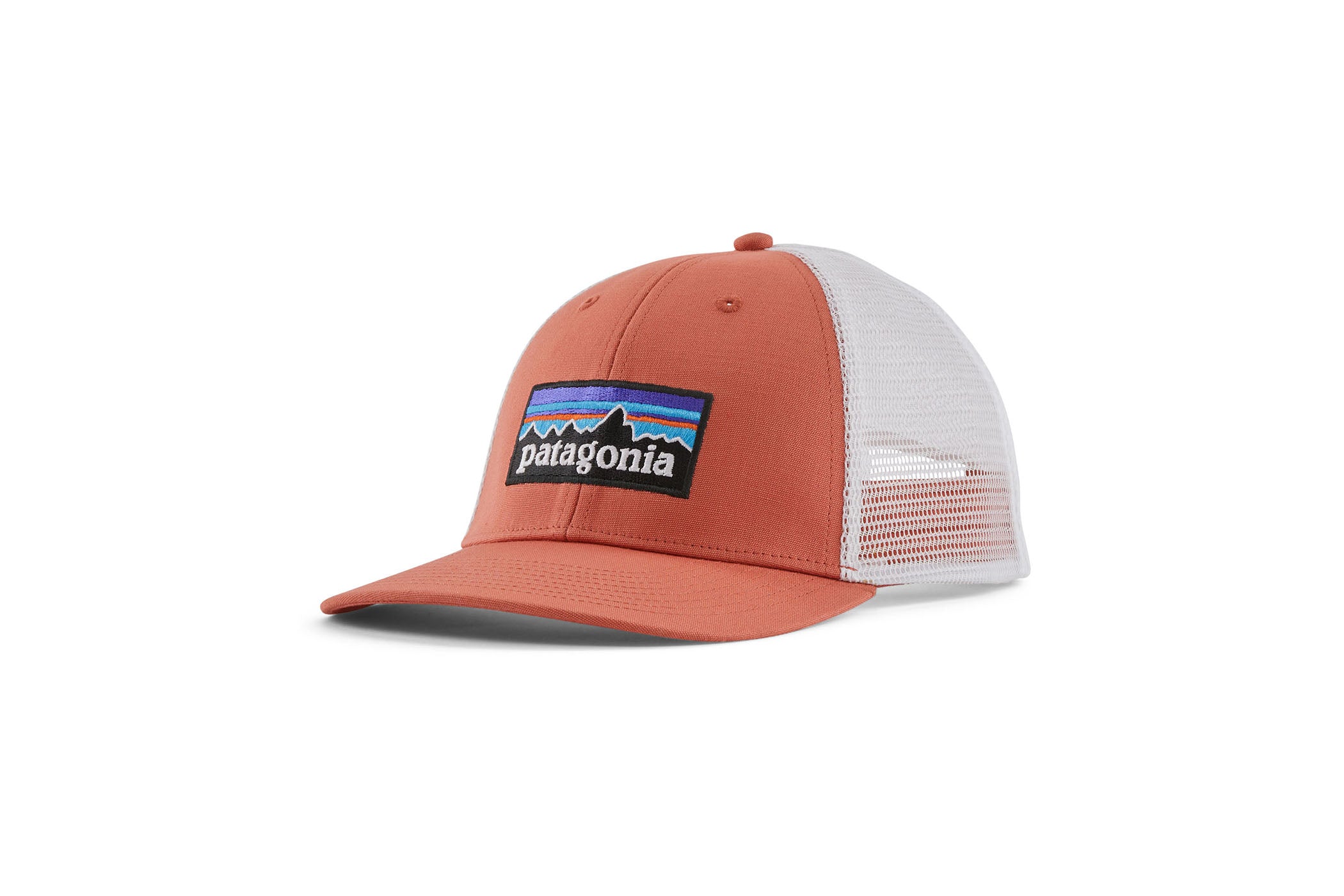 Patagonia P-6 Logo LoPro Trucker Hat The Pro's Closet