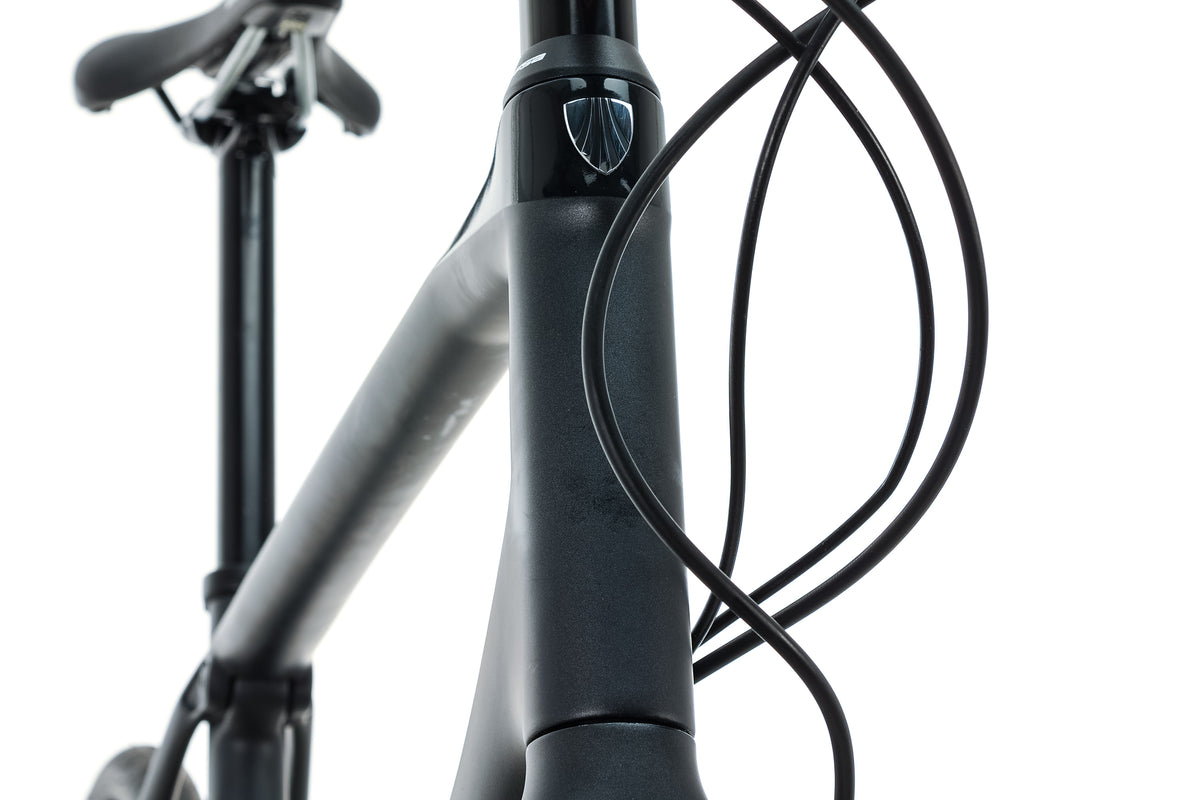 trek dual sport vs fx