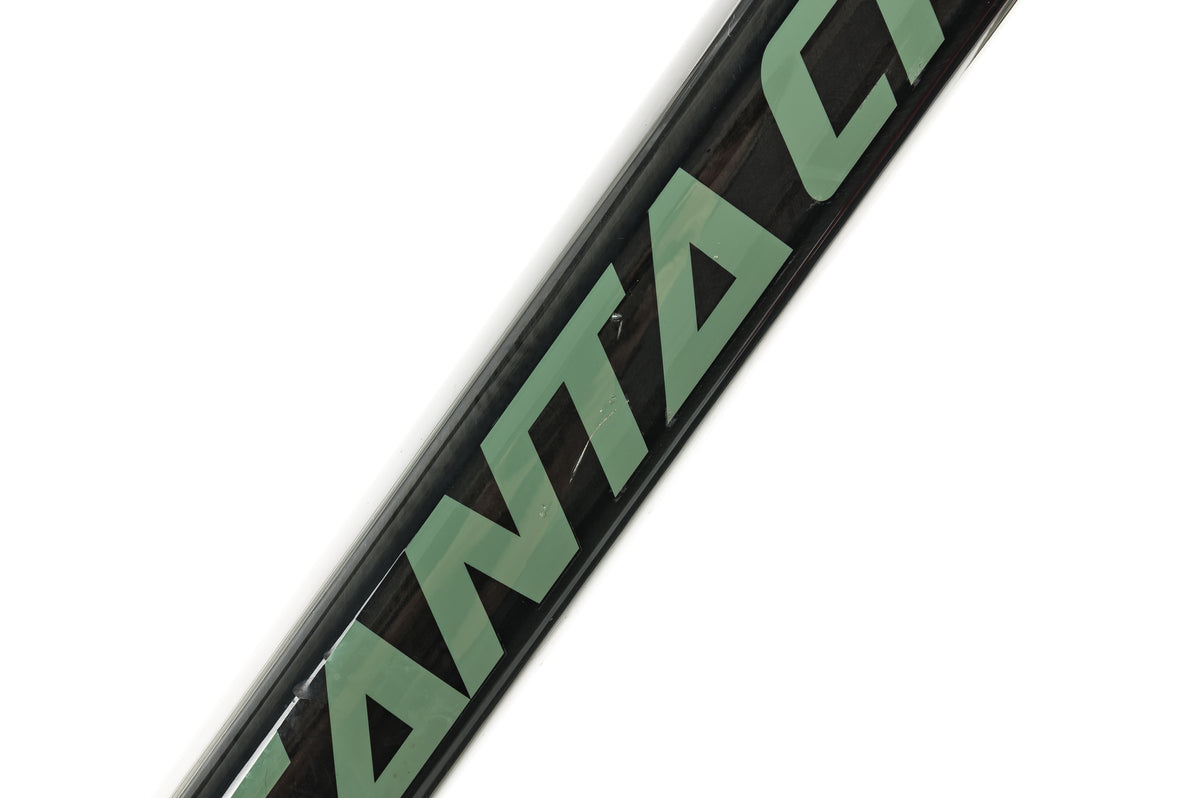 santa cruz chameleon 3