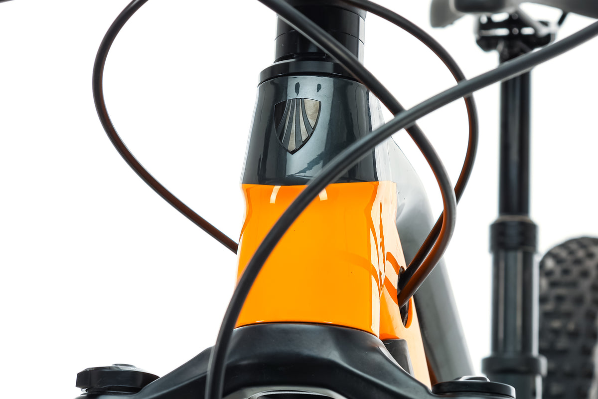 Trek Fuel EX 5 Mountain Bike - 2021, Small | The Pro's Closet