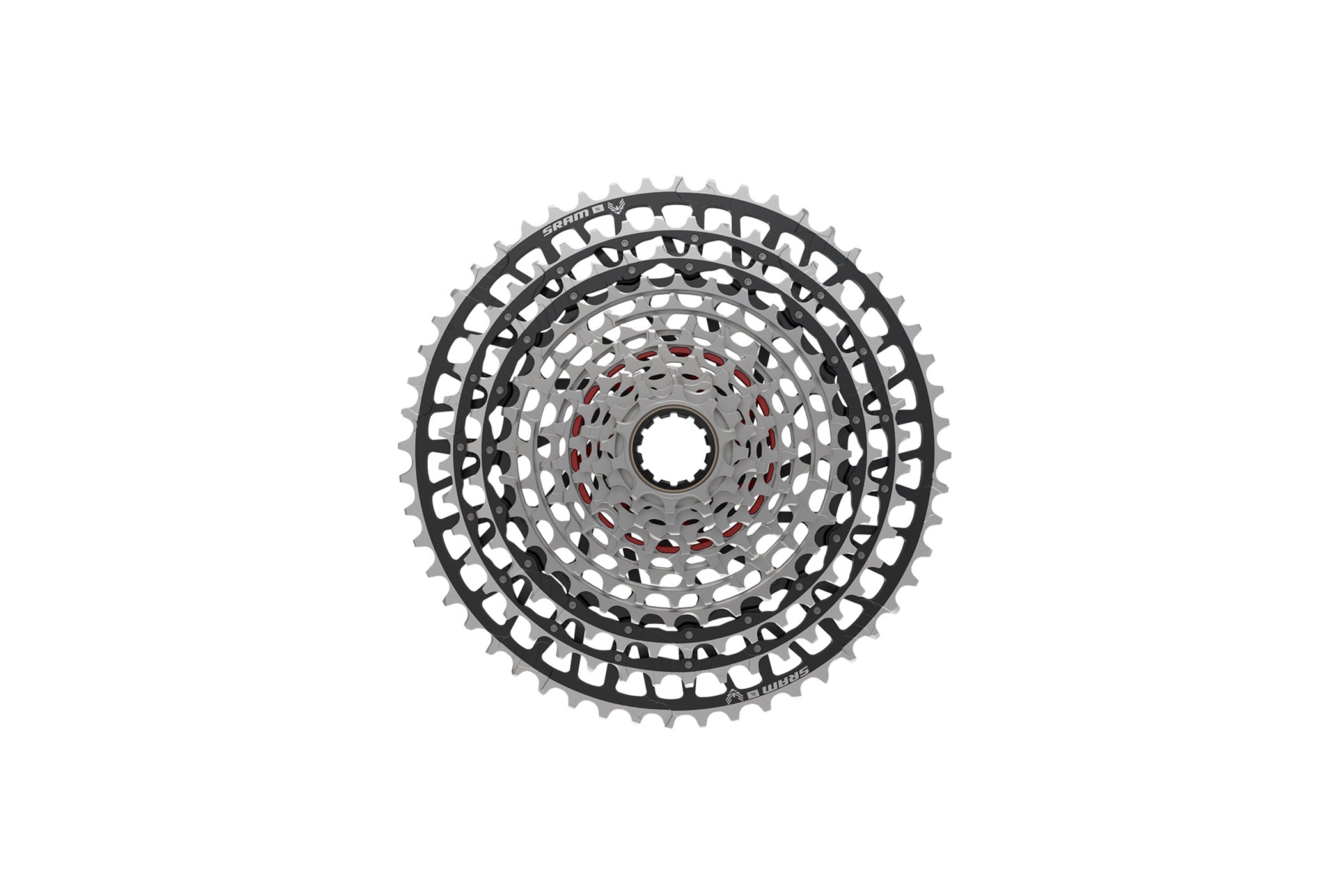 CCS10378_AA_2.jpg?v=1678825432