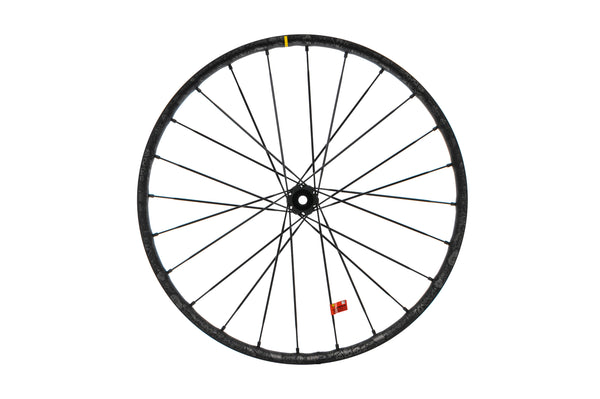 Mavic Deemax Pro SAMHILL 29インチ　ホイールセット 未走行品 マビック MAVIC ディーマックス プロ29 Deemax Pro Sam Hill