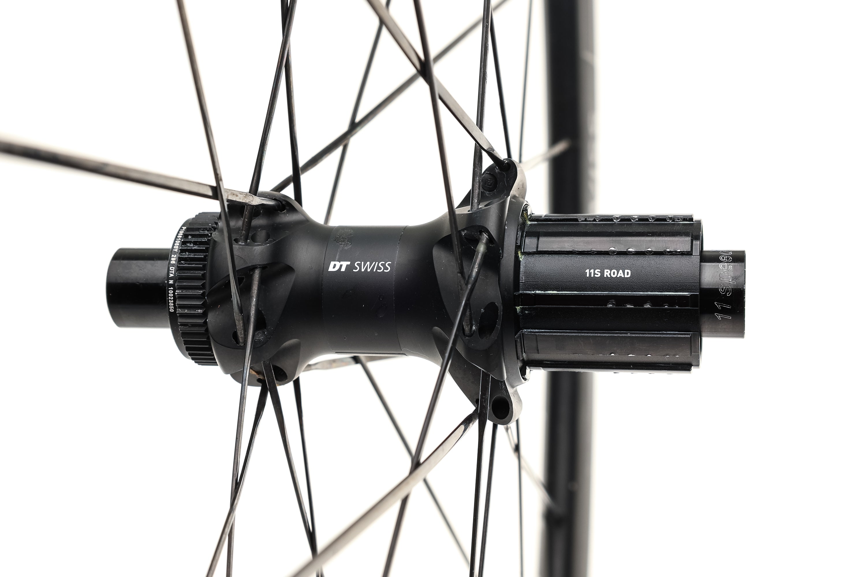 DT Swiss P 1800 Spline 32 Disc Aluminum Tubeless | The Pro's Closet